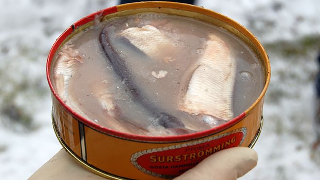 Acaracolados - Surströmming El famoso pescado apestoso de Suecia Es arenque  fermentado y solo se vende el latas. Tiene mala fama por el olor que sale  de la lata al abrirla (